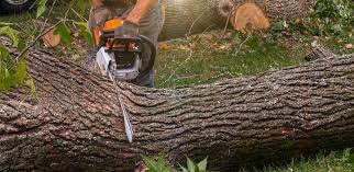Best Lawn Drainage Solutions  in Windy Hills, KY